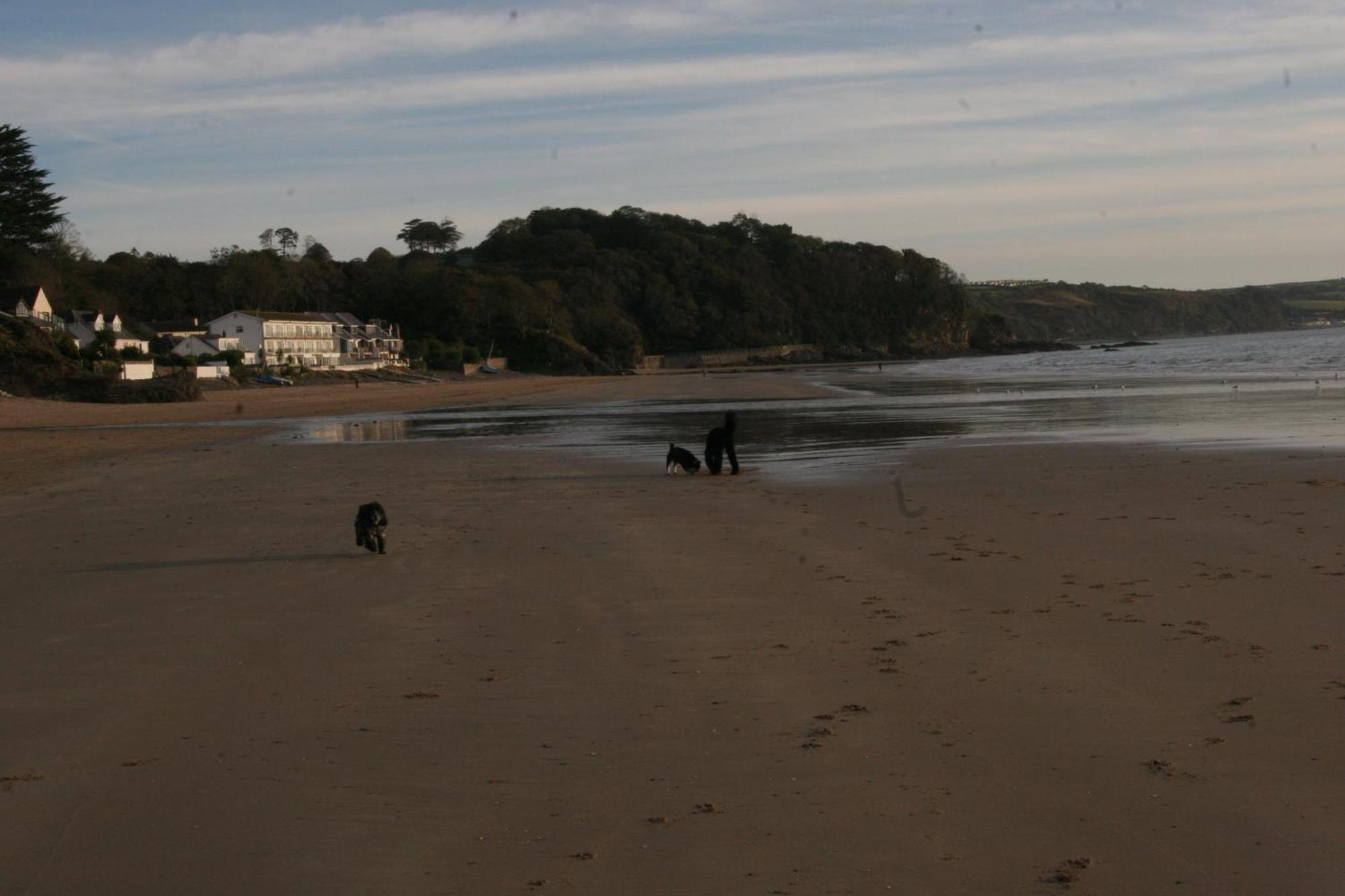 Nythfa Guest House Saundersfoot Zewnętrze zdjęcie